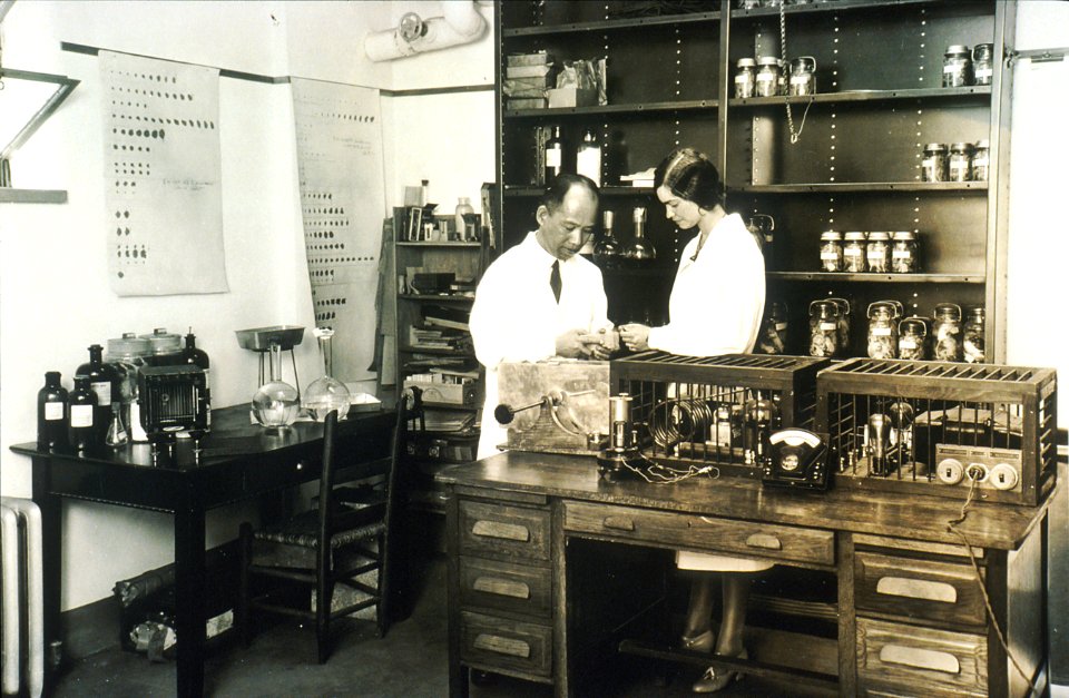 Experimental cancer department at the central cancer research