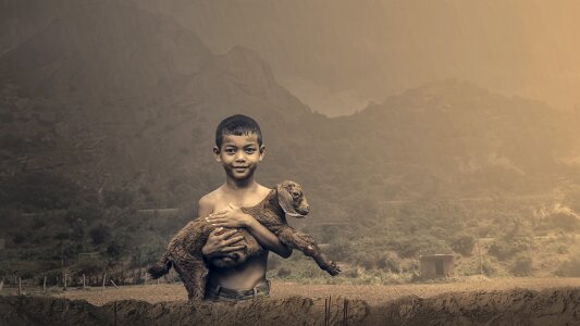 Lamb mountain child