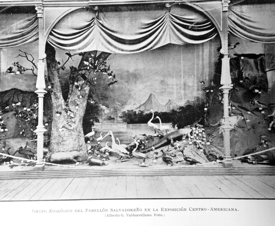 ExpoCebtroamericana1897 06