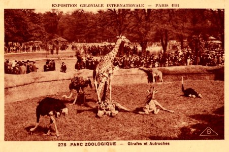 Expo 1931 Zoo1 photo