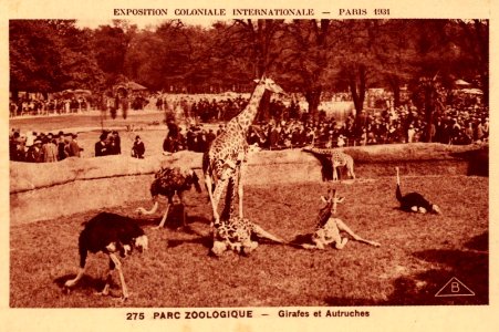 Expo 1931 Zoo1