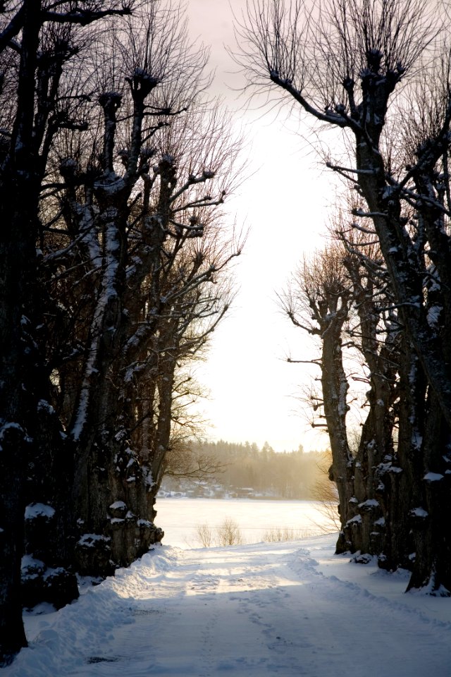 Exteriörbilder. Vinter. Lindallé - Skoklosters slott - 86496