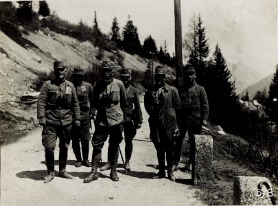Exz.Roth auf dem Tonalepass. (BildID 15580918)