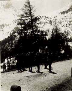 Exzellenz Roth auf der Tonalepass - Höhe. (BildID 15580911)