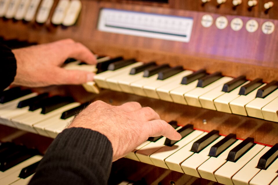 Organist piano ivory