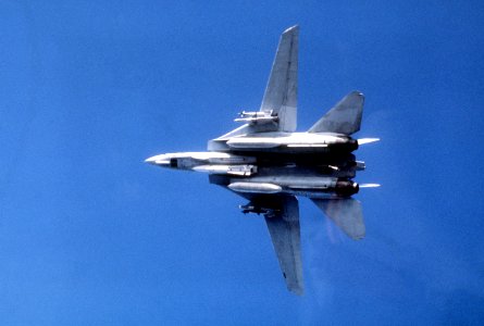 F-14 bottom view with wings forward