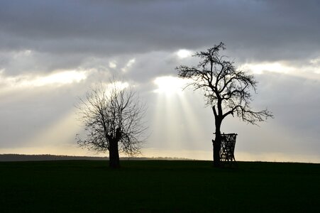 Nature kahl landscape