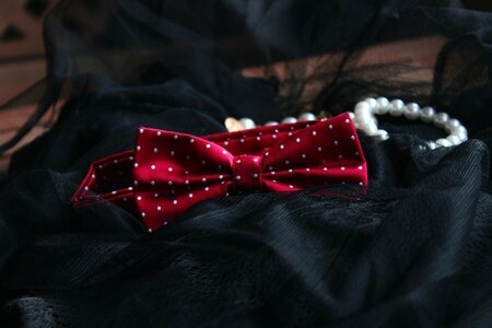 Women's bow tie fashion ornament photo