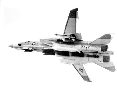 F-14 loaded with bombs