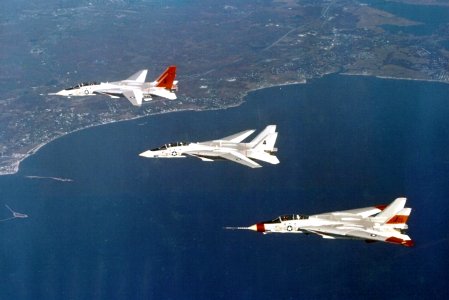 F-14 Tomcat prototypes in flight c1972