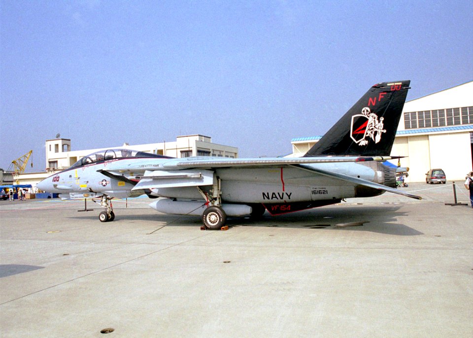 F-14 Tomcat VF-154