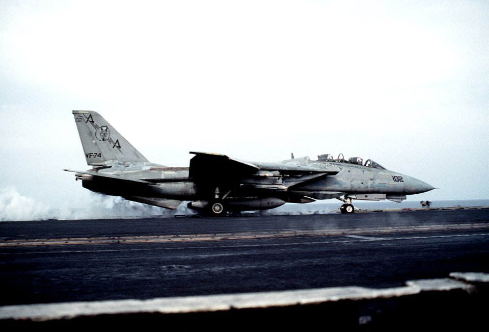 F-14 Tomcat VF-74