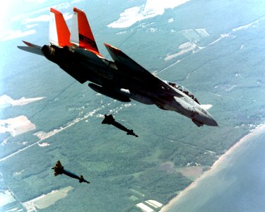 F-14A NAWC LGBs