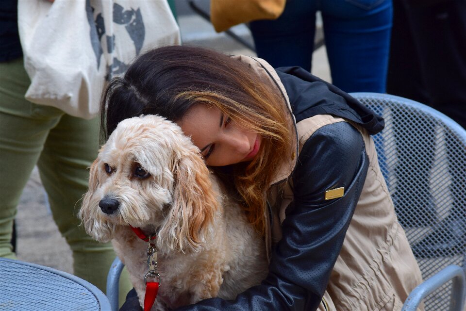 Female happy animal photo