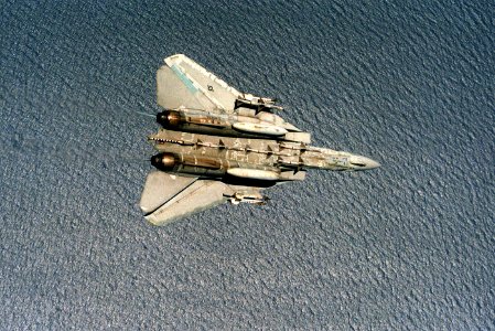 F-14A VF-24 Sparrows and Sidewinders 3
