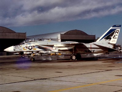F-14A Tomcat of VF-143 at NAS Miramar on 8 January 1977 (NNAM.1996.253.7450.011)