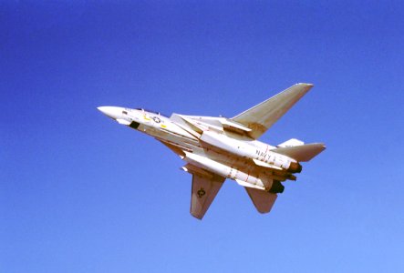 F-14A VF-1 Bottom View