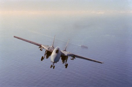 F-14A VF-102 Gear Down Front Aspect