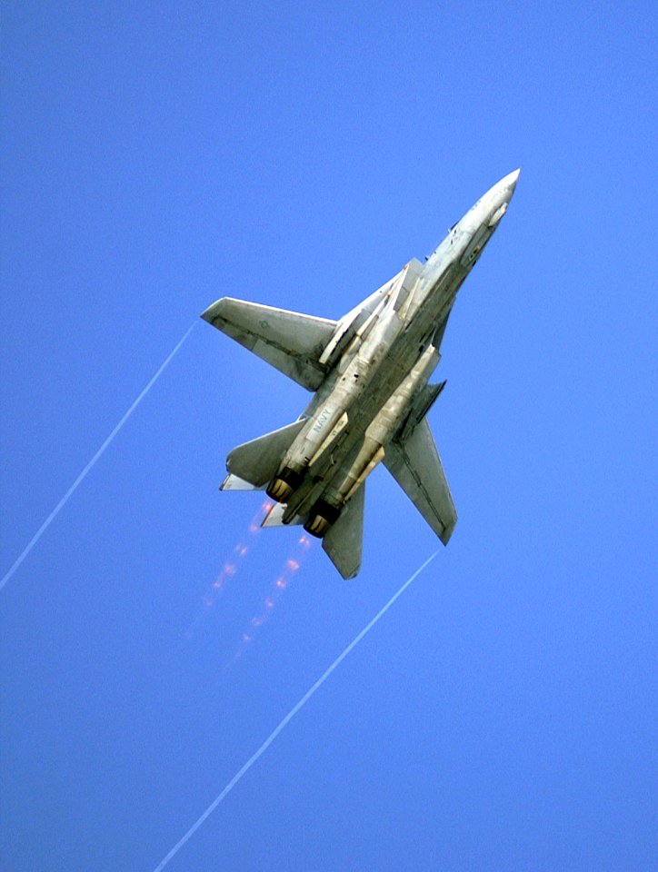 F-14B VF-101 Airshow 2004