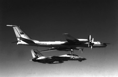 F-14A VF-111 intercepting Indian Tu-142MK-E