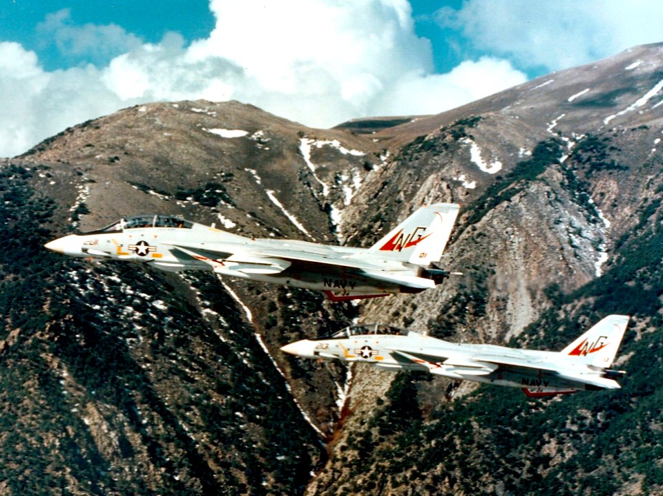 F-14A Tomcats of VF-24 in flight 1977