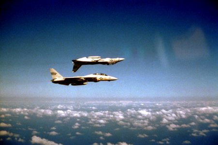 F-14A VF-1 Inverted Right Side View 1987