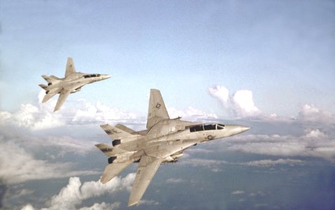 F-14A VF-1 SectionParade