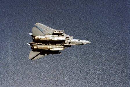 F-14A VF-24 Sparrows and Sidewinders 2