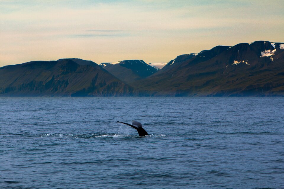 Horizontal ocean travel