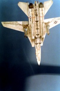 F-14A VF-41 Operation Desert Storm CAP