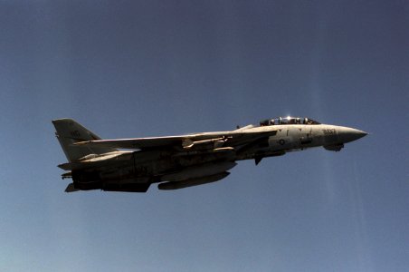 F-14A VF-24 Sparrows and Sidewinders