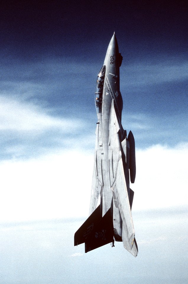 F-14A VF-84 Vertical Climb