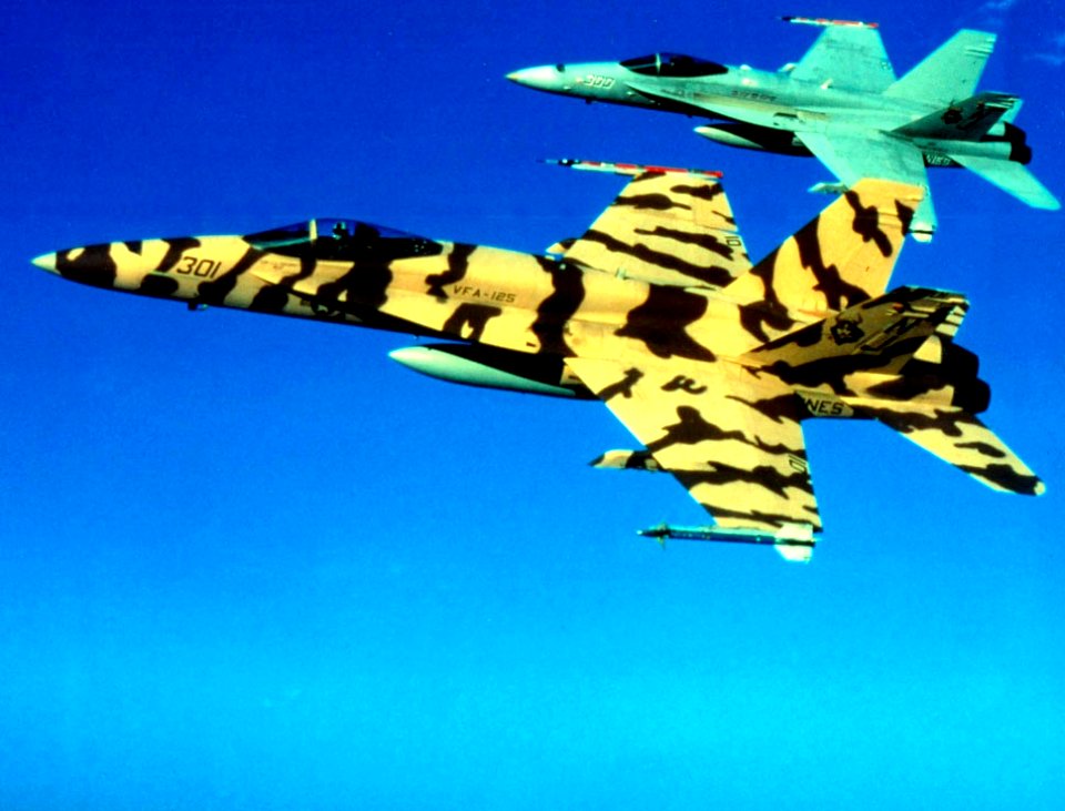 F-18C Hornets of VFA-125 in flight
