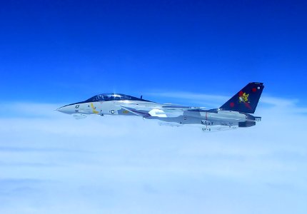 F-14B VF-11 Side View 2 - 2005