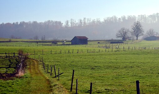 Field farm landscape photo