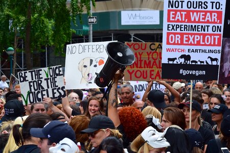 Signs animal rights demonstration photo