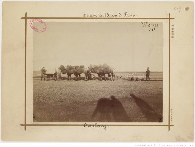 F. 36. Orenbourg K. A. Fischer