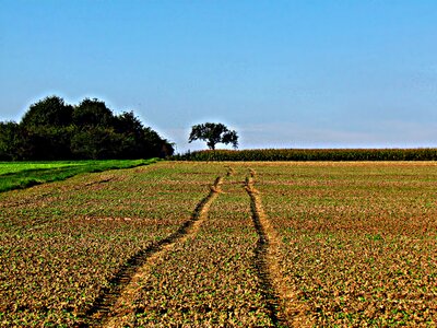 The cultivation of agriculture village