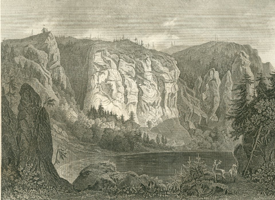 F. Foltz nach R. Höfle - Der Feldsee auf dem Feldberg, Stahlstich um 1850. Ansichtsseite (cropped)