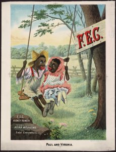 F.E.G. kidney remedy. The newly discovered herb medicine. Sold everywhere - Van. LCCN2005691054
