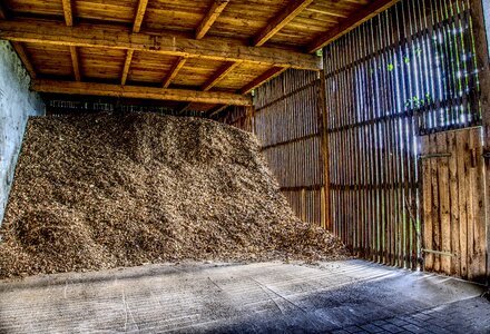 Wood chips bark mulch sunbeam photo