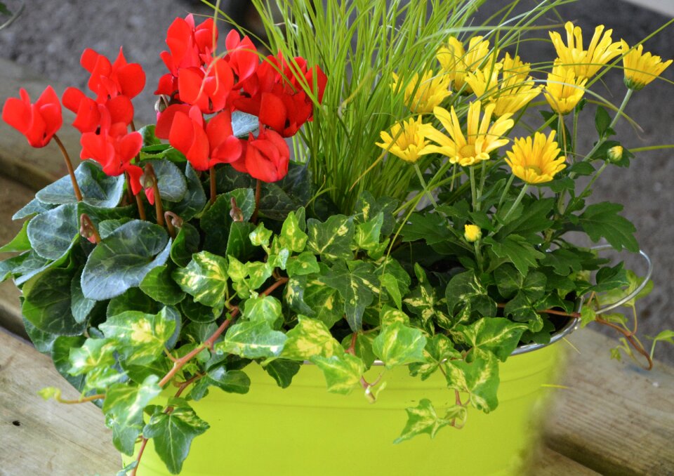 Green leaves floral composition foliage