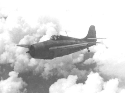 F4F-4 Wildcat of VF-5 near Guadalcanal 1942