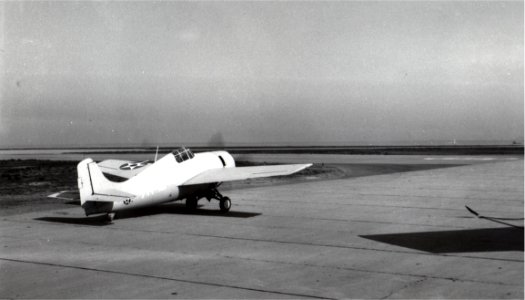 F4F-3 VF-71 at NAS Norfolk 1941