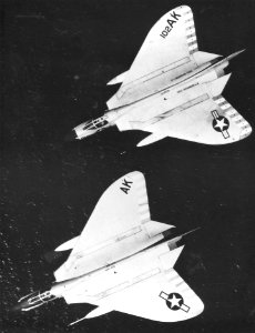 F4D-1 Skyrays of VF-13 in flight in July 1961