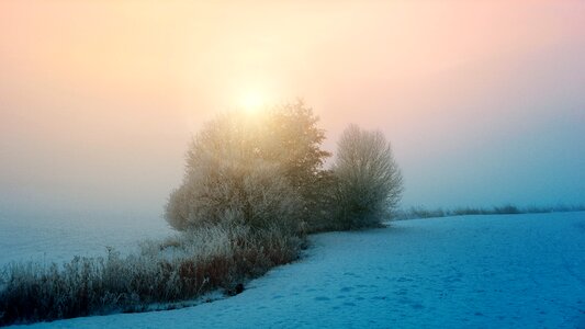 Mood nature dawn photo