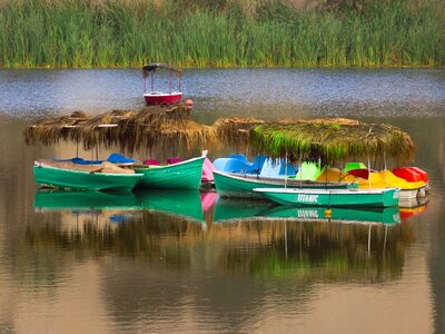 Nature huacachina lime