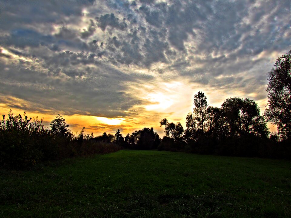 Field landscape view
