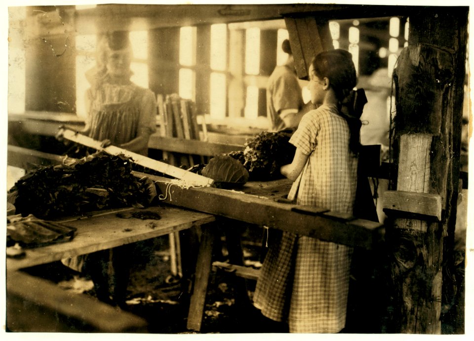 Girl 'passing leaves' to 'stringer.' Both 14 years. Hackett Farm. LOC nclc.00696
