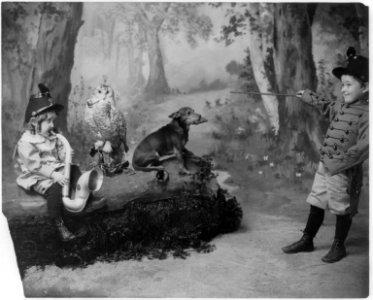 Girl playing horn, owl smoking pipe, boy in uniform conducting dog playing harmonica LCCN2002699160